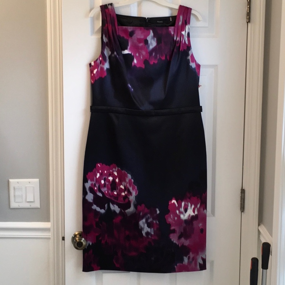 Tahari Sophieann Sleeveless Dress Zippered Back sz 12